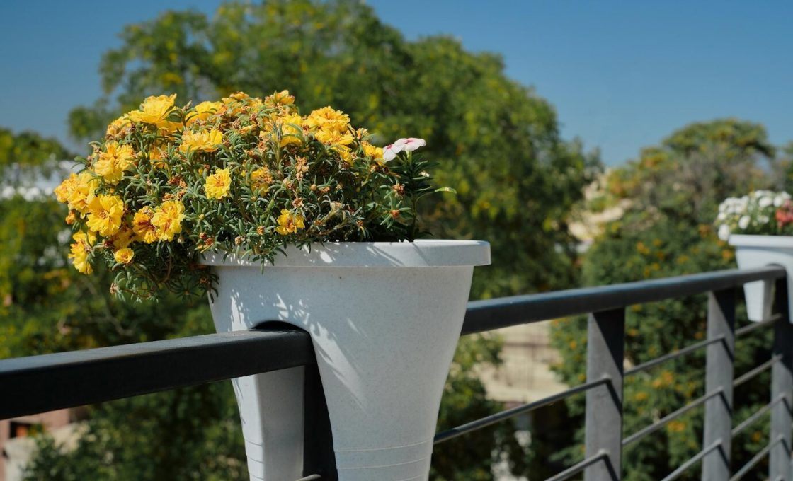 8 plantes parfaites pour un petit balcon