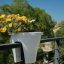 8 plantes parfaites pour un petit balcon