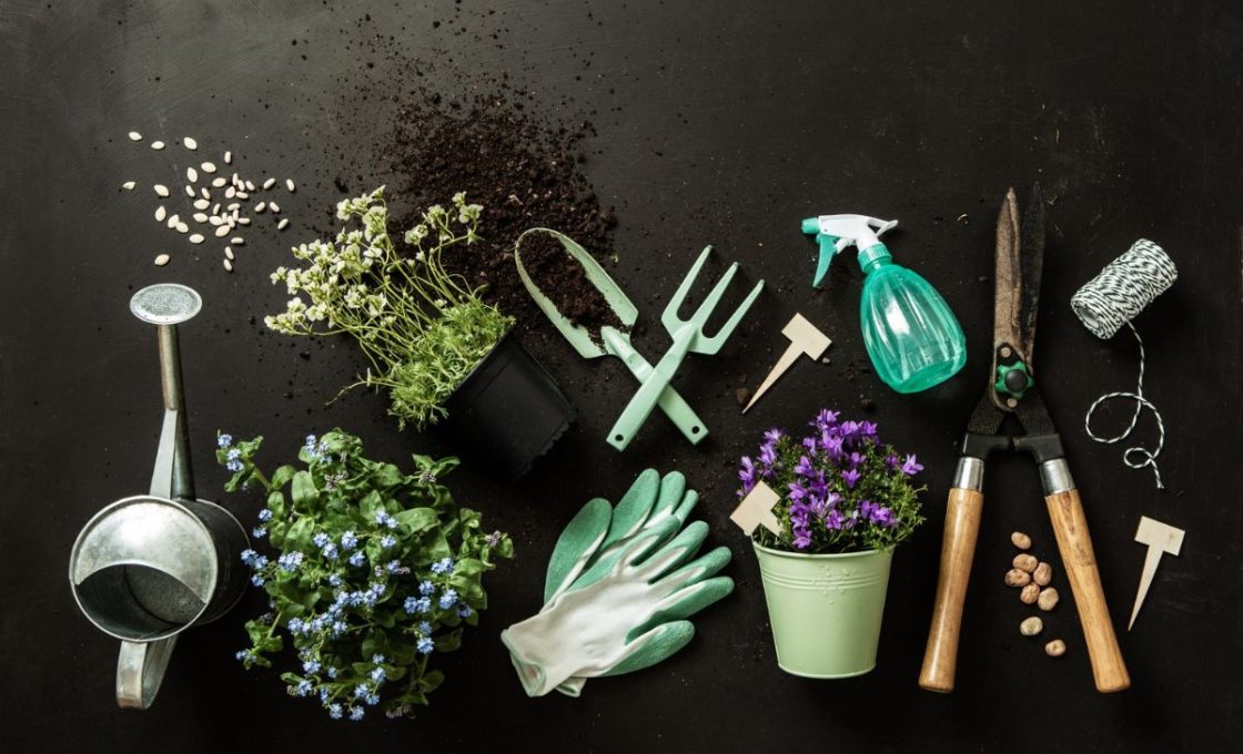 Matériaux plantes pour réduire dépenses de jardinage