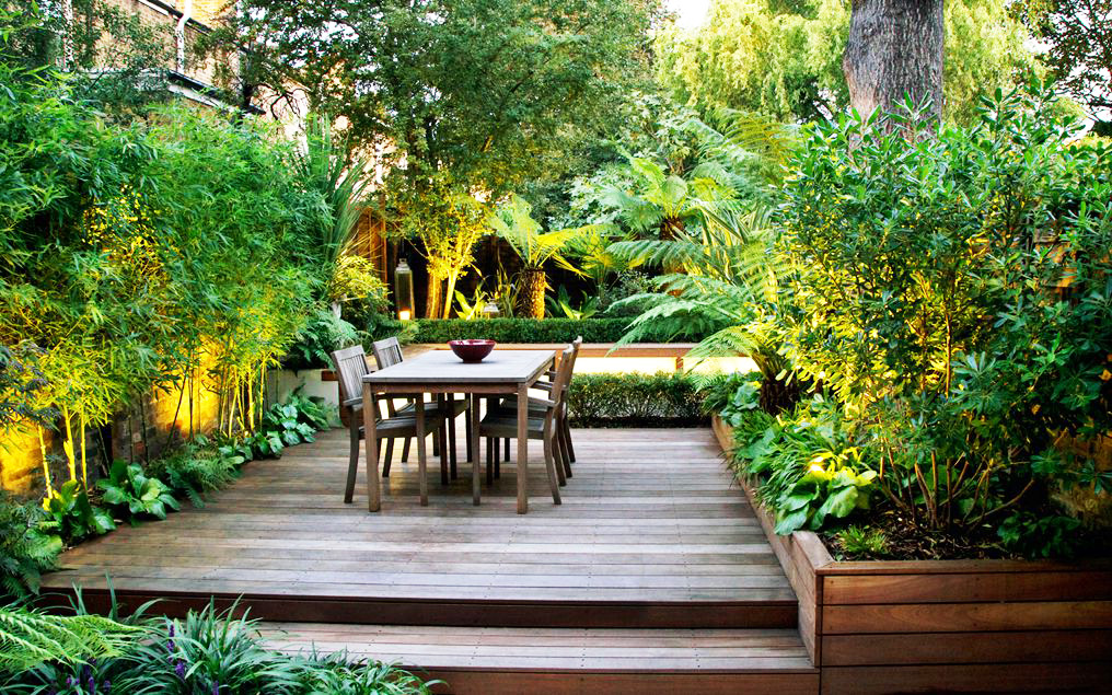 plantes idéales pour une terrasse propice à la relaxationplantes idéales pour une terrasse propice à la relaxation