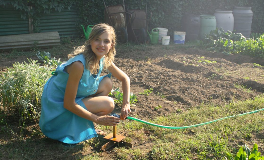 jardin-nv