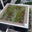Les toits verts comme solution esthétique et fonctionnelle pour les bâtiments commerciaux