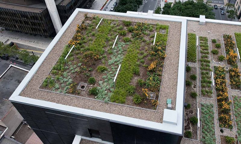 Les toits verts comme solution esthétique et fonctionnelle pour les bâtiments commerciaux