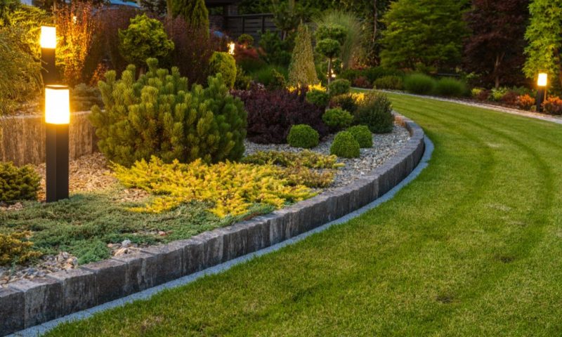 Du concept à la réalisation : le processus de création d’un jardin paysager
