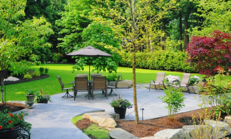 Choisir les plantes adaptées à votre climat pour un jardin paysager réussi