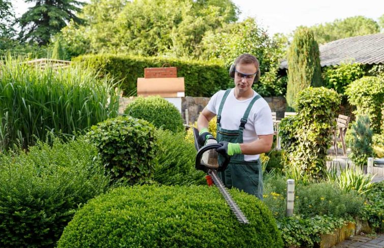 entretien de jardin