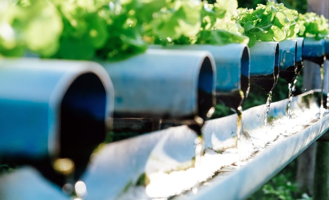 l'eau de pluie pour l'irrigation de votre jardin