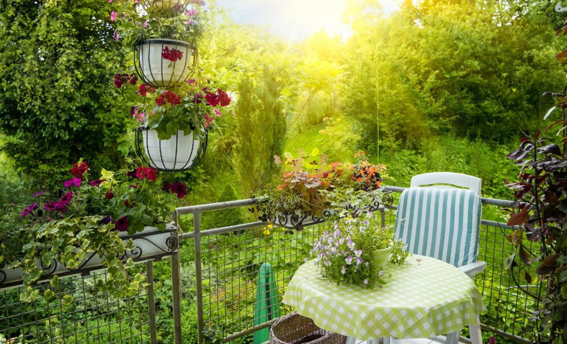 Terrasse et jardin