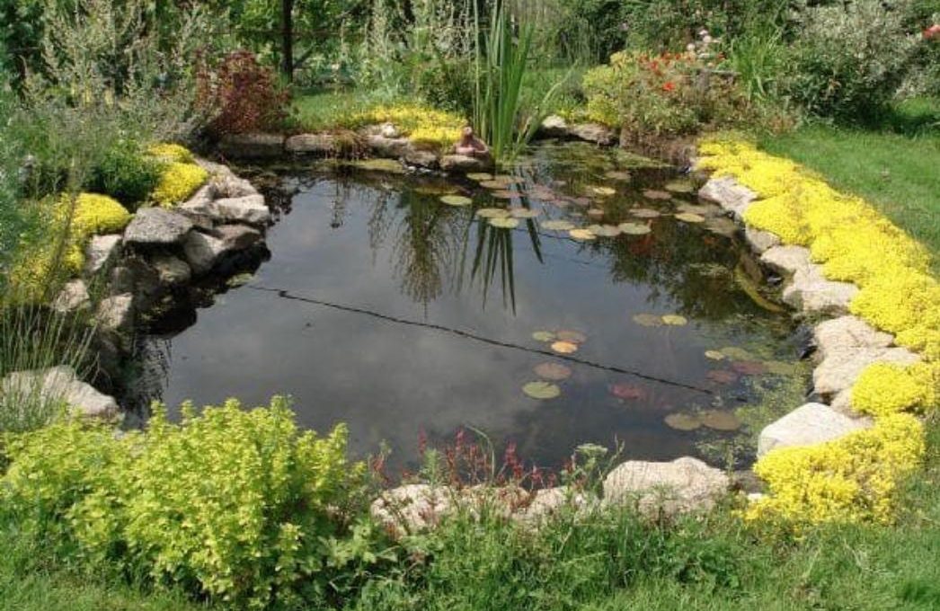 bassin naturel