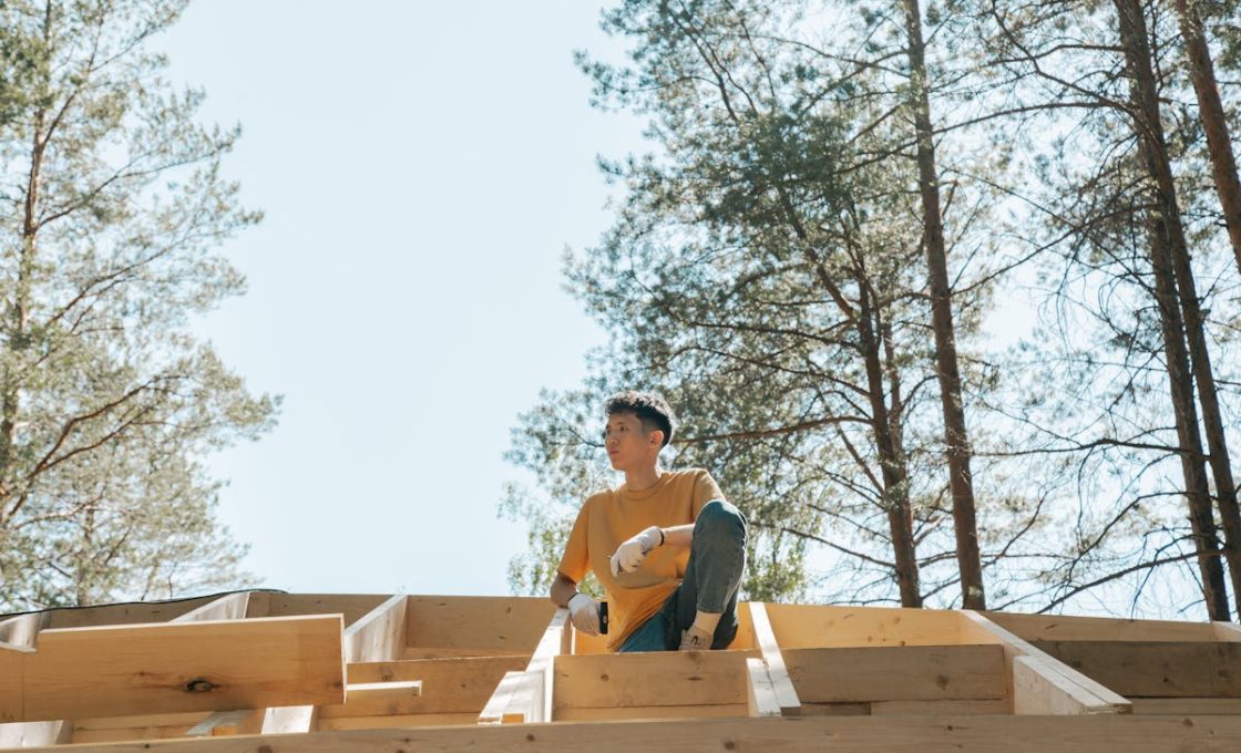 charpentes en bois