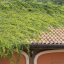 Conseils pour concevoir une toiture végétale durable